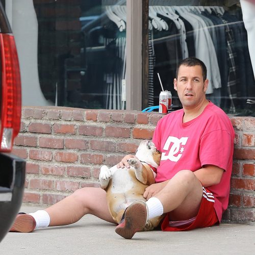 Adam Sandler Bio, Height & Weight - Creeto