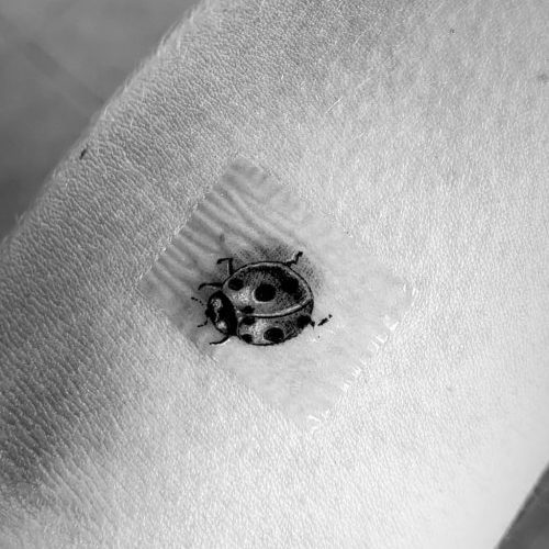 Adelaide Kane tattoo a ladybug
