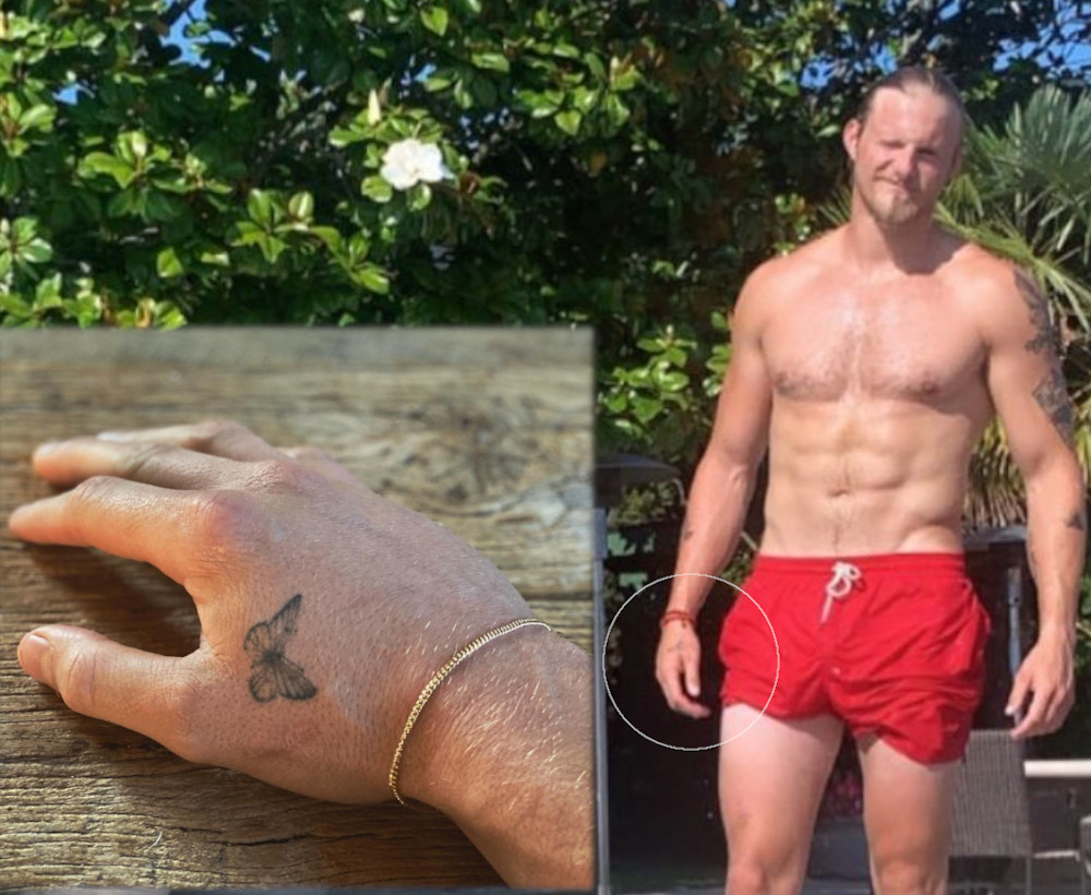 Alexander Ludwig butterfly hand tattoo