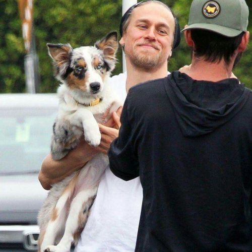 Charlie Hunnam height - How tall is Charlie Hunnam?