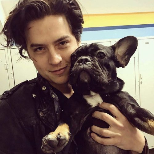 Cole Sprouse Height, Age, Net Worth, Facts, Girlfriend ...