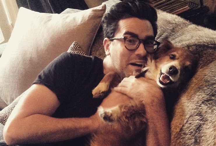 Dan Levy dog Redmond