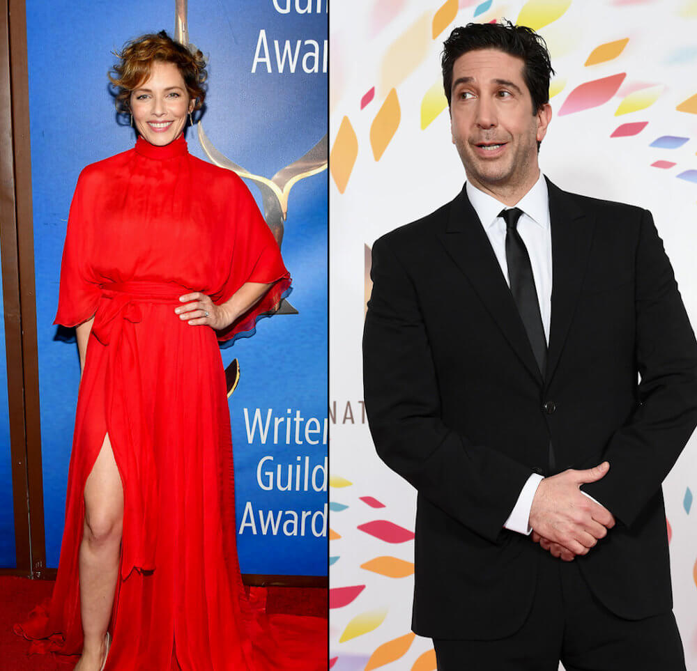 David Schwimmer was engaged to Mili Avital