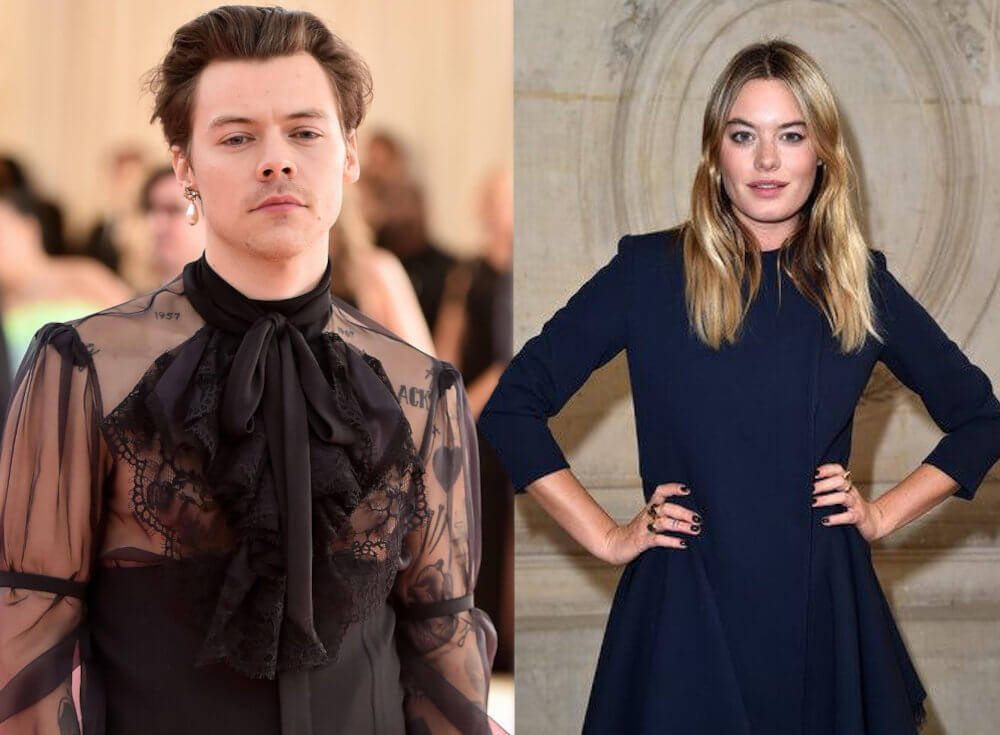 Harry Styles and his first girlfriend Camille Rowe