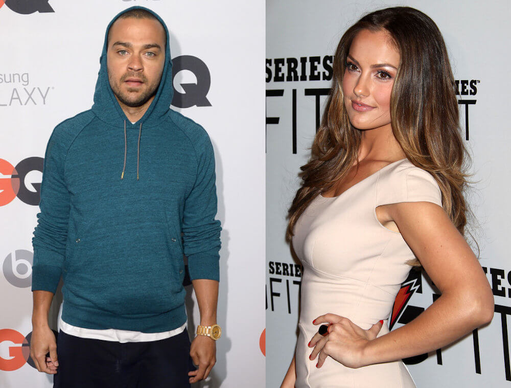 Jesse Williams and Minka Kelly