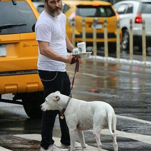 He takes his dog for a walk.