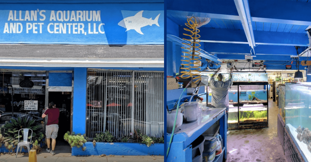 Jon Favreau’s Allan’s Aquarium Estate