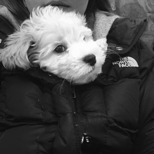 Kaitlyn Dever Height, Age, Movies, Net Worth Creeto