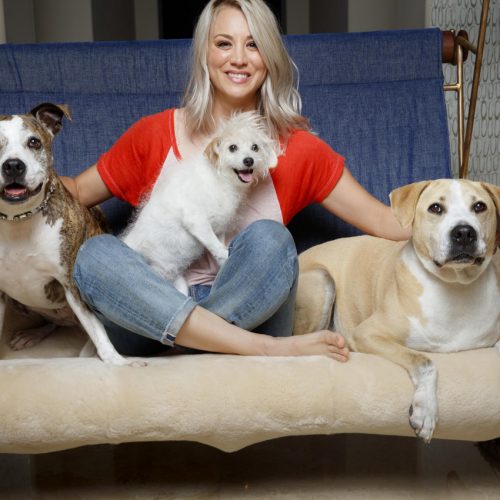 Kaley and her husband, Karl has a lot of dogs at their house.