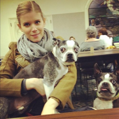 Kate Mara Actress, Height, Age, Movies, Net Worth, Facts - Creeto