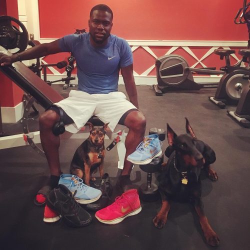 Kevin Hart, Roxy and Riggs.