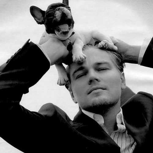 Leonardo DiCaprio with his dog, named Django (French Bulldog).