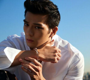 Mackenyu Surprising Announcement of Marriage and Mysterious Wife