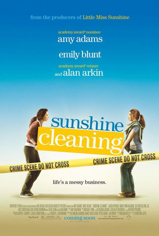 Sunshine Cleaning 2008