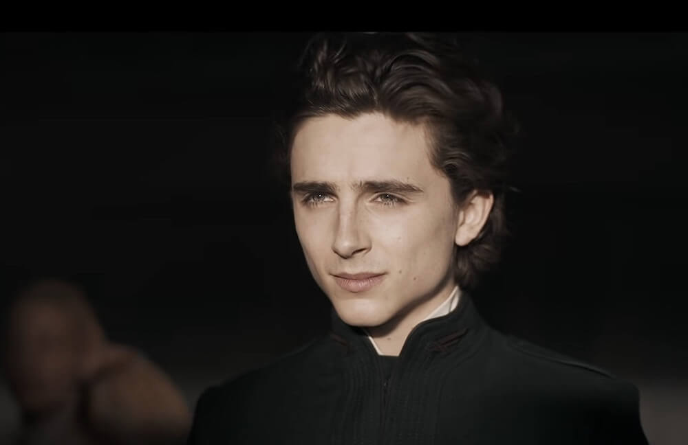 Timothee Chalamet in Dune