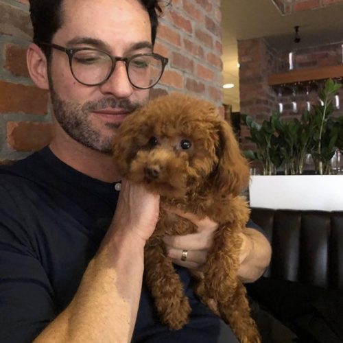 Tom Ellis Height, Age, Bio - Creeto