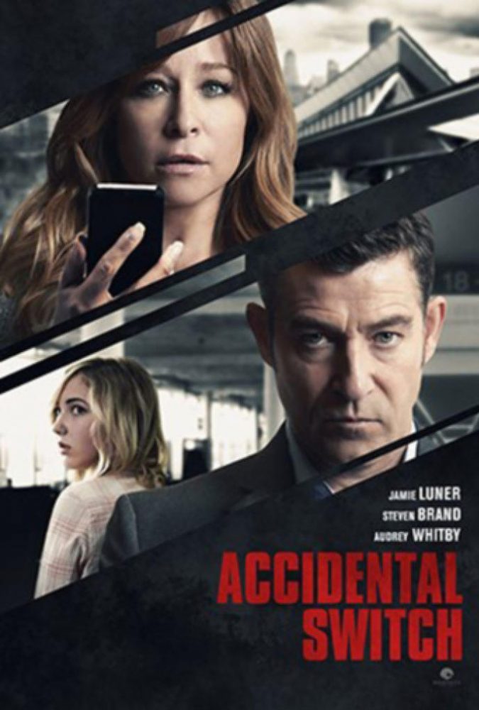 accidental switch poster