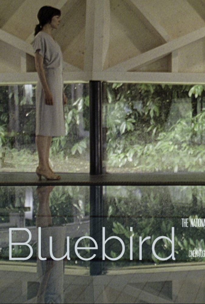 blue-bird-2017